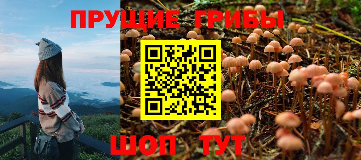 Галлюциногенные грибы мухоморы  Галлюциногенные грибы Cubensis  Вход с VPN  Чусовой 