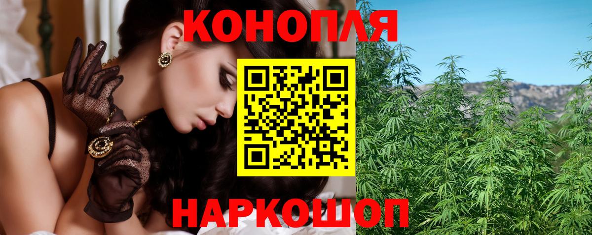 Конопля марихуана  Конопля марихуана  Вход с VPN  МАРИХУАНА план  Чусовой  Бошки марихуана гибрид 